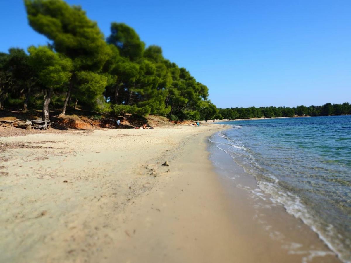 Apartamento La : Proche Plages & Vue Superbe Sur Les Iles D'or